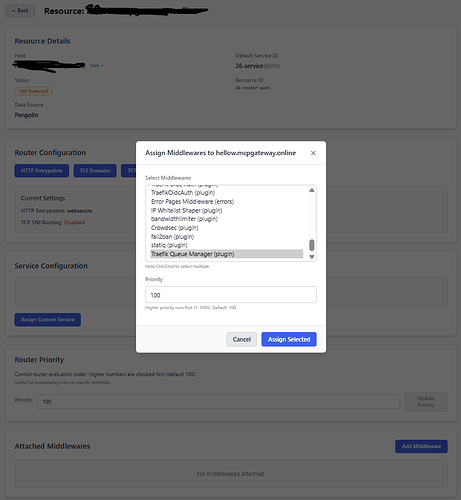add-middleware-to-resource