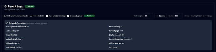 dashboard_debug-info